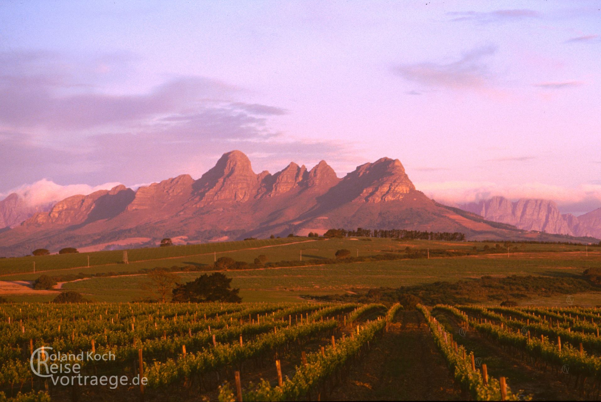 Südafrika - Weinberge bei Stellenbosch